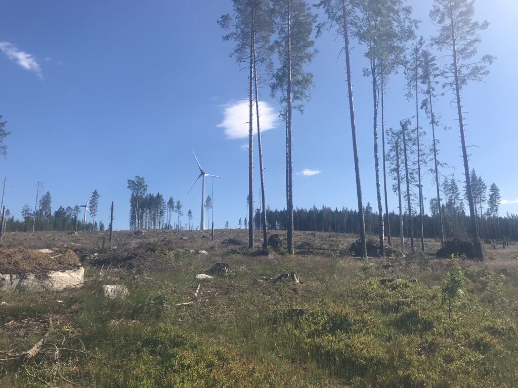 Skog, kalhygge och vindkraftverk längs Björnfrossa-banan