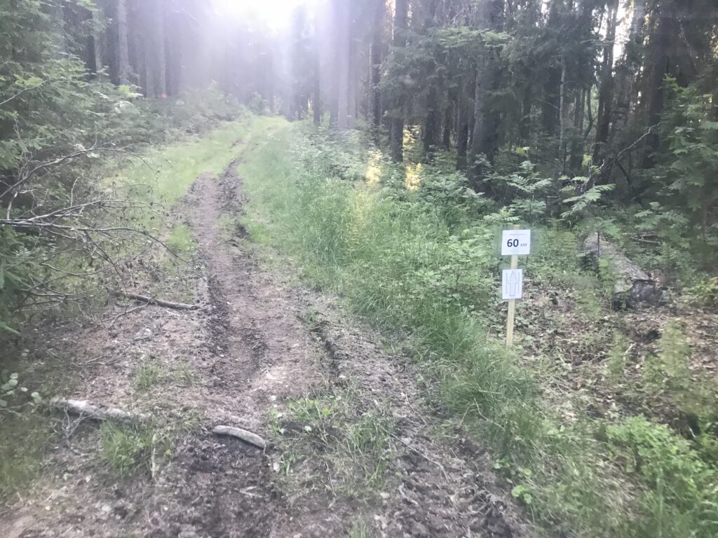 60 km-skylt längs Björnfrossabanan