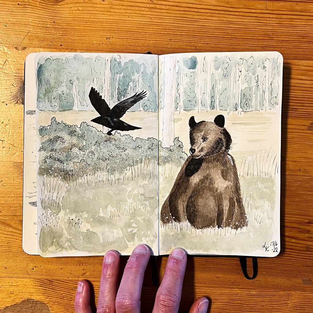 Uppslag i Lisa Krigas skissbok: en björn och en korp i skogen